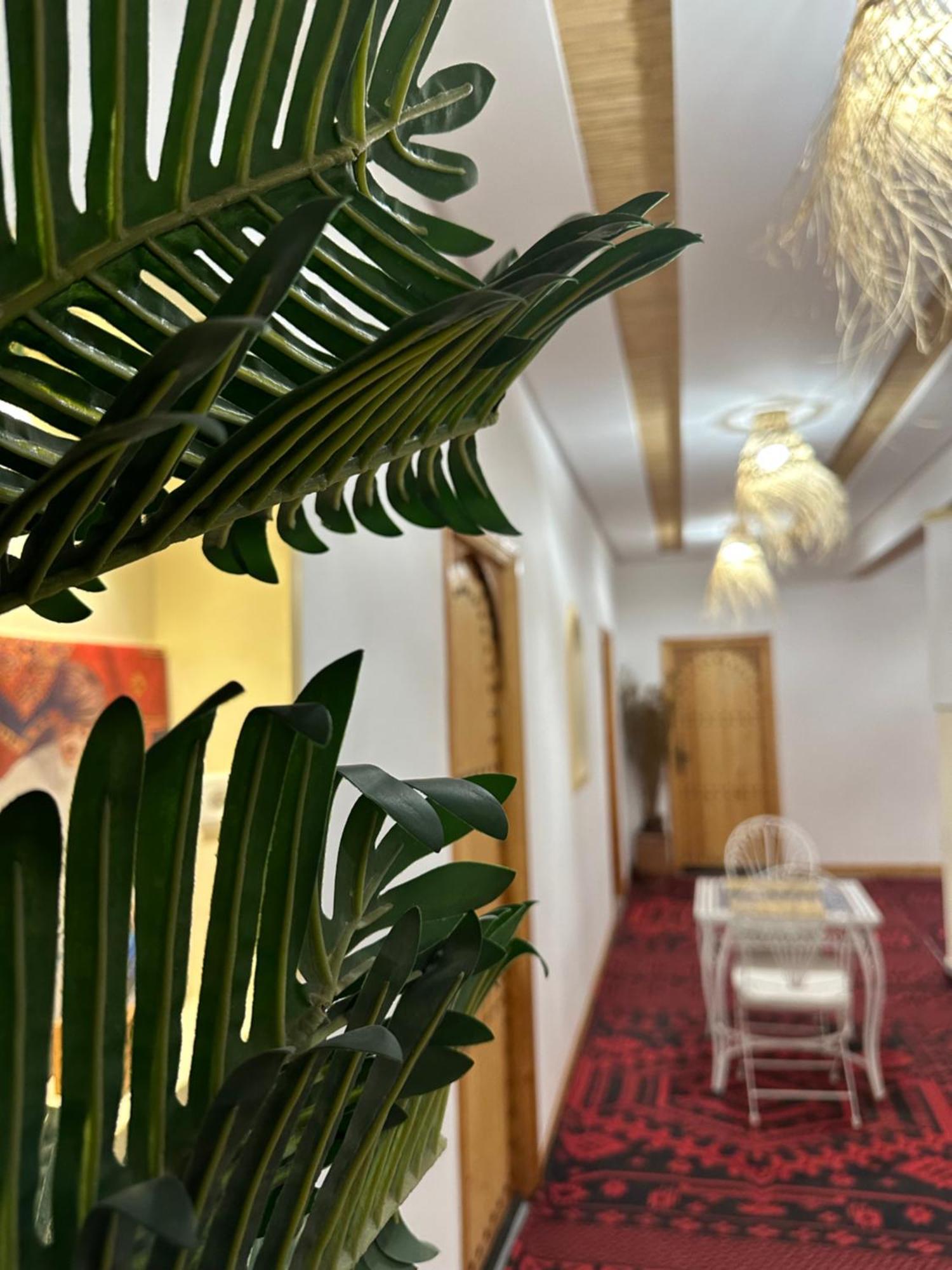 Riad Dreams Dades Tamellalt  Exteriör bild